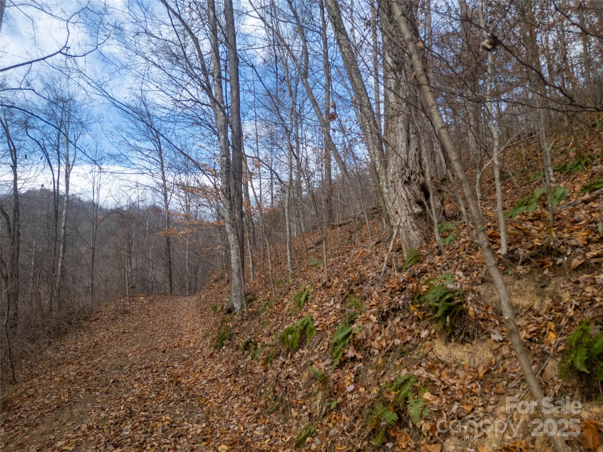 ### Grapevine Road Property Photo 7