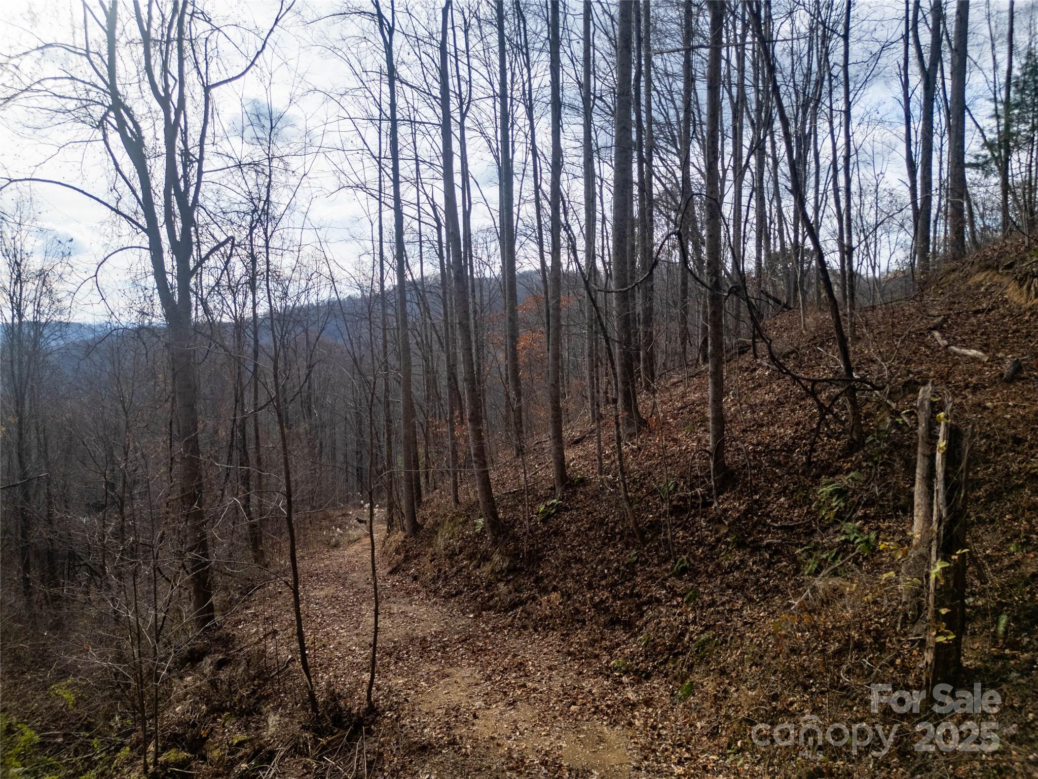 ### Grapevine Road Property Photo 9