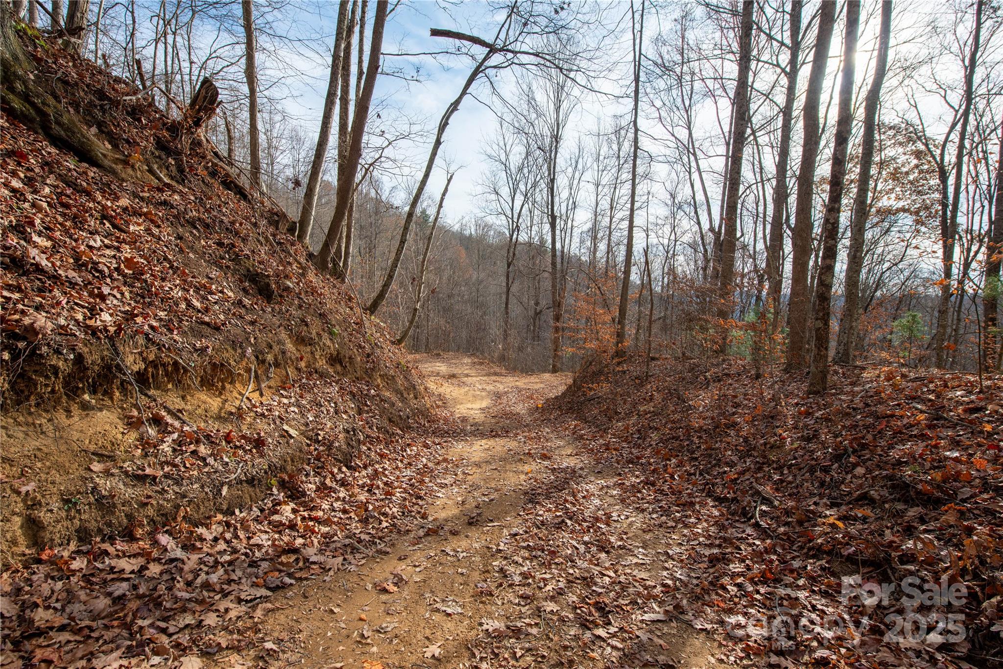 ### Grapevine Road Property Photo 13
