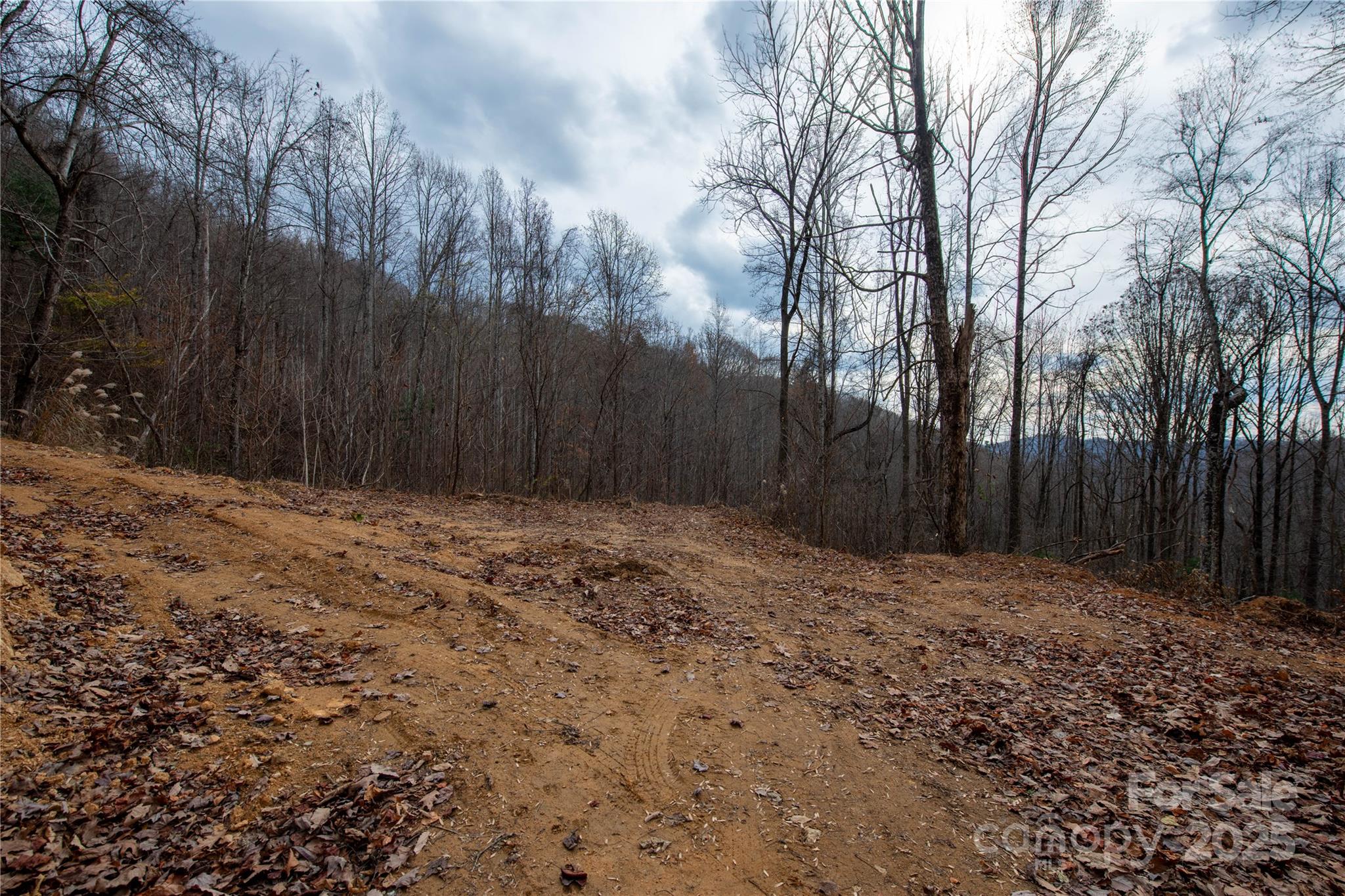### Grapevine Road Property Photo 14