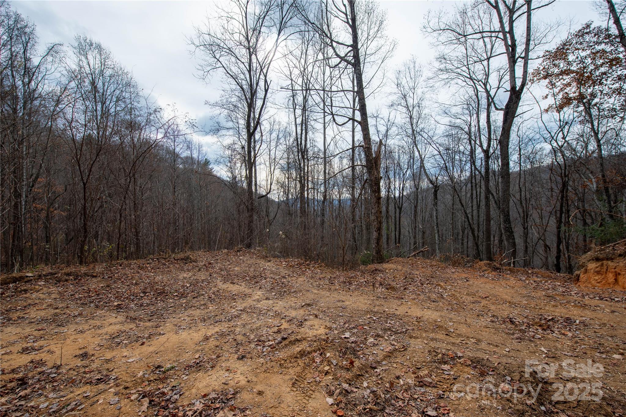 ### Grapevine Road Property Photo 15