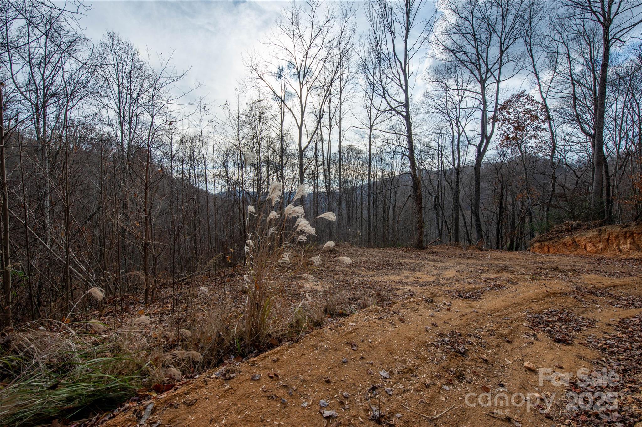 ### Grapevine Road Property Photo 16