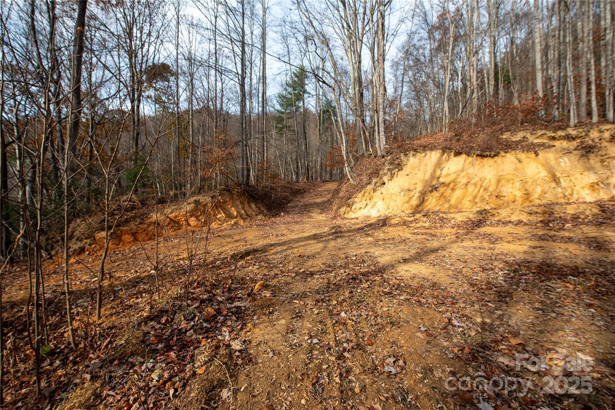 ### Grapevine Road Property Photo 17