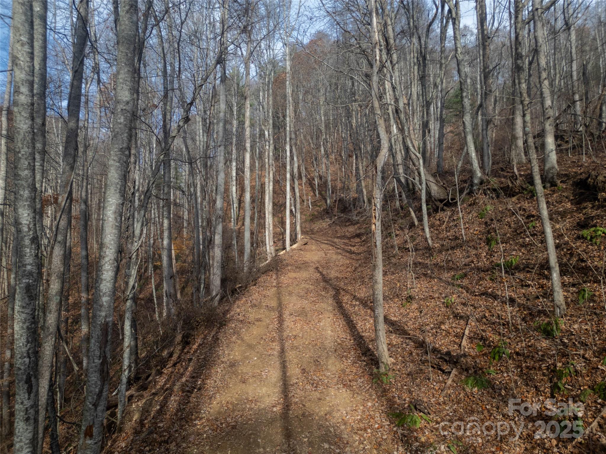### Grapevine Road Property Photo 19