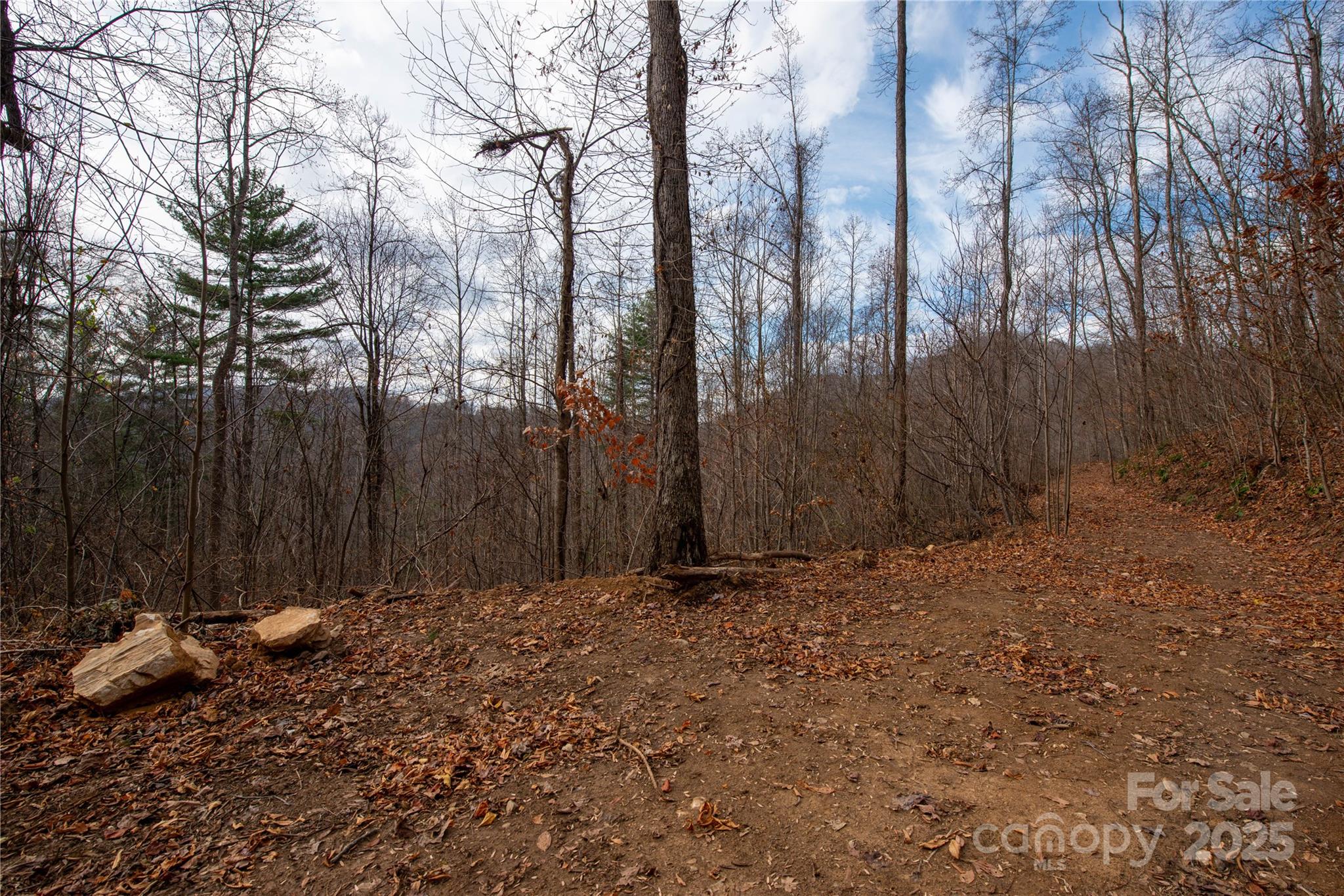 ### Grapevine Road Property Photo 20