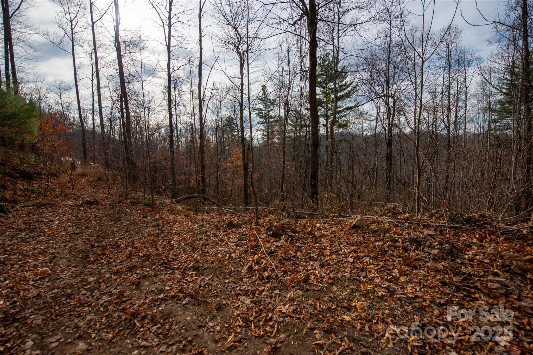 ### Grapevine Road Property Photo 21