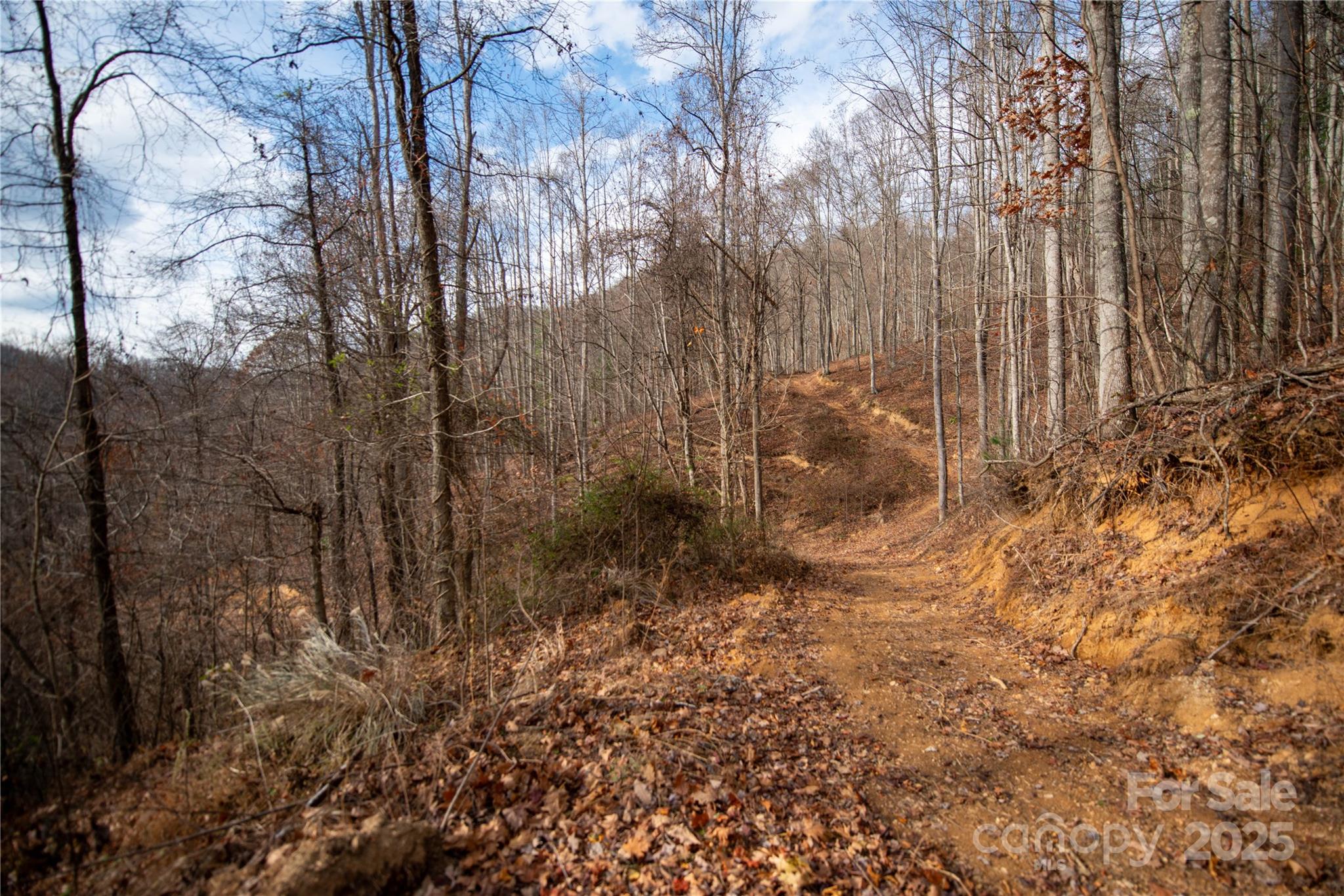 ### Grapevine Road Property Photo 22
