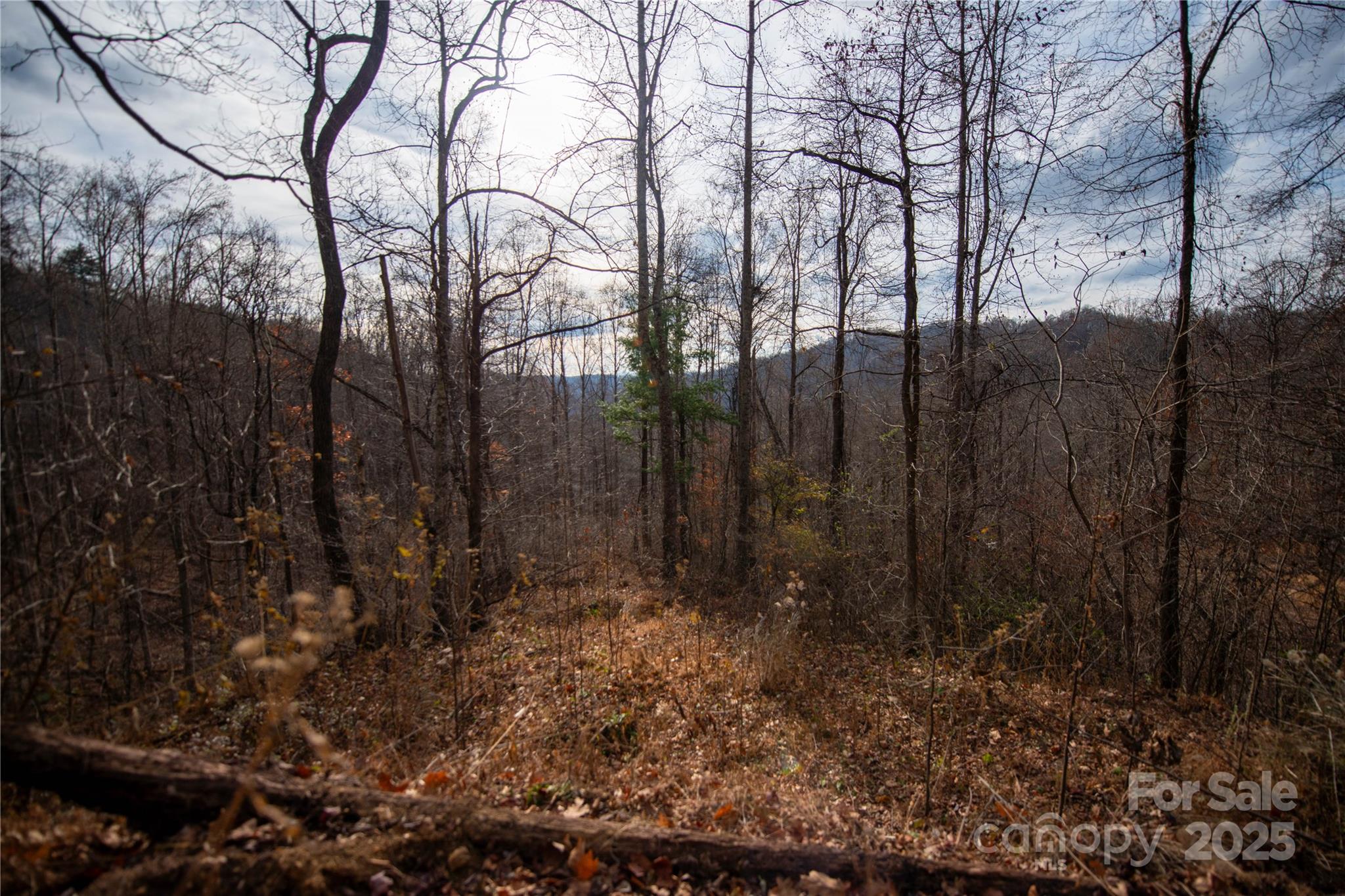 ### Grapevine Road Property Photo 23
