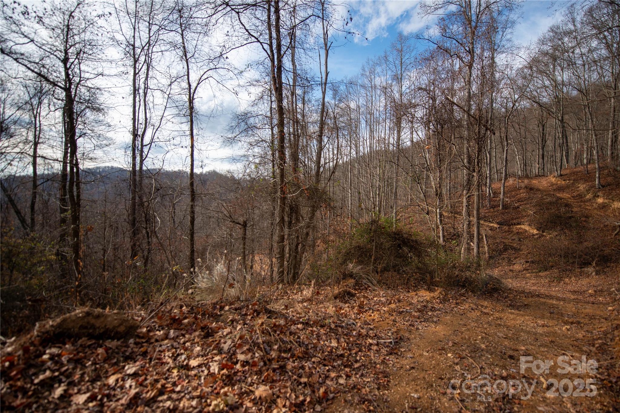 ### Grapevine Road Property Photo 24