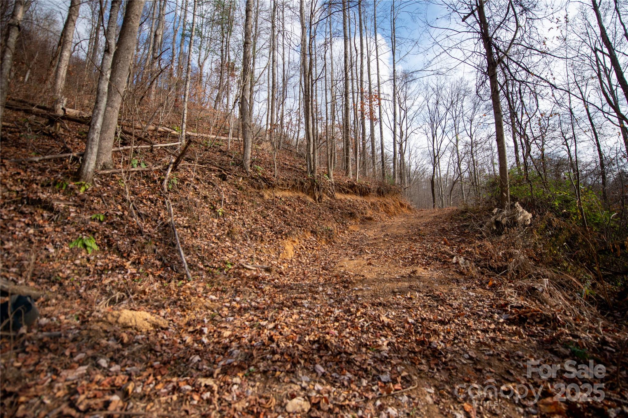 ### Grapevine Road Property Photo 25