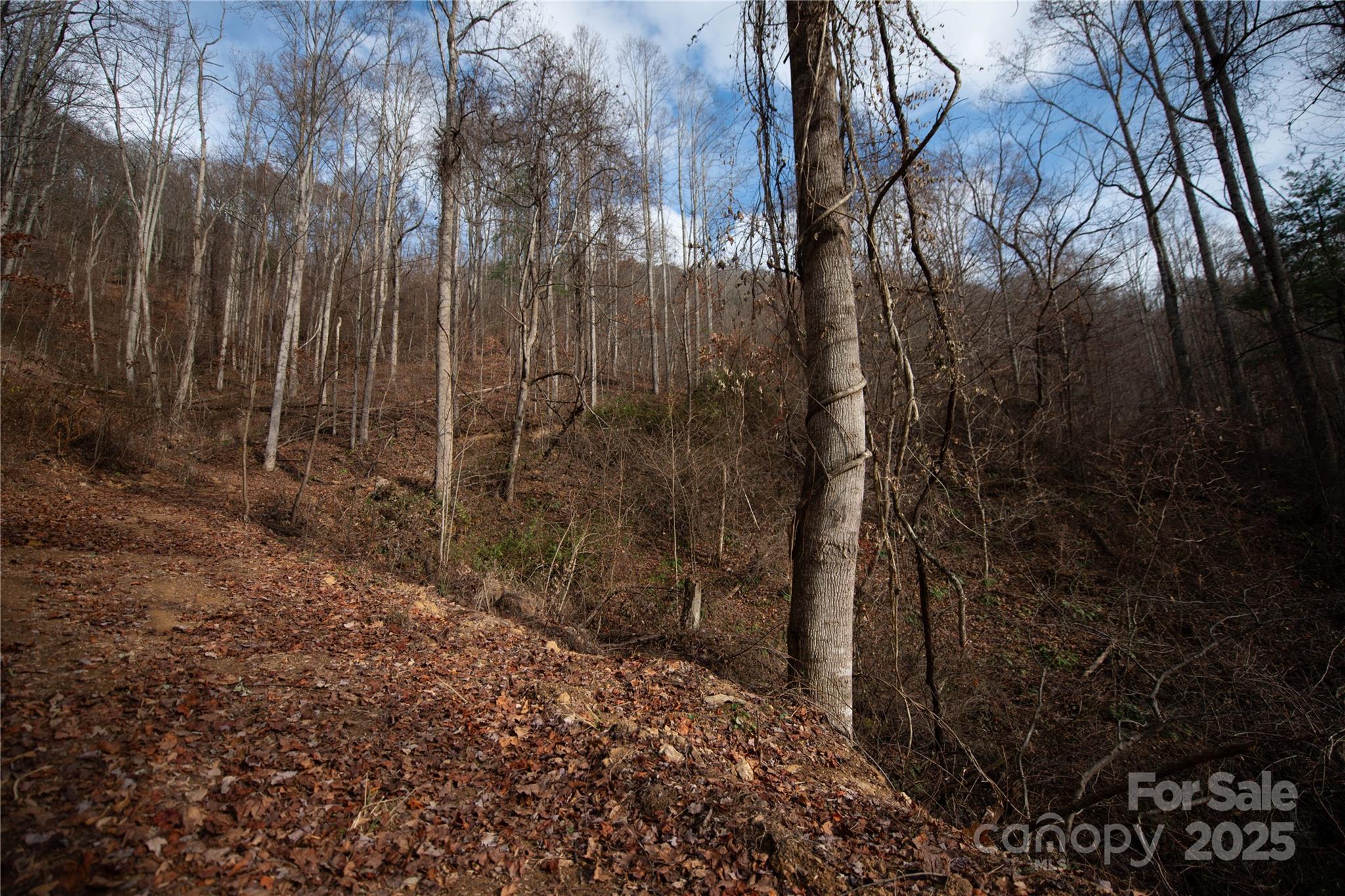 ### Grapevine Road Property Photo 26