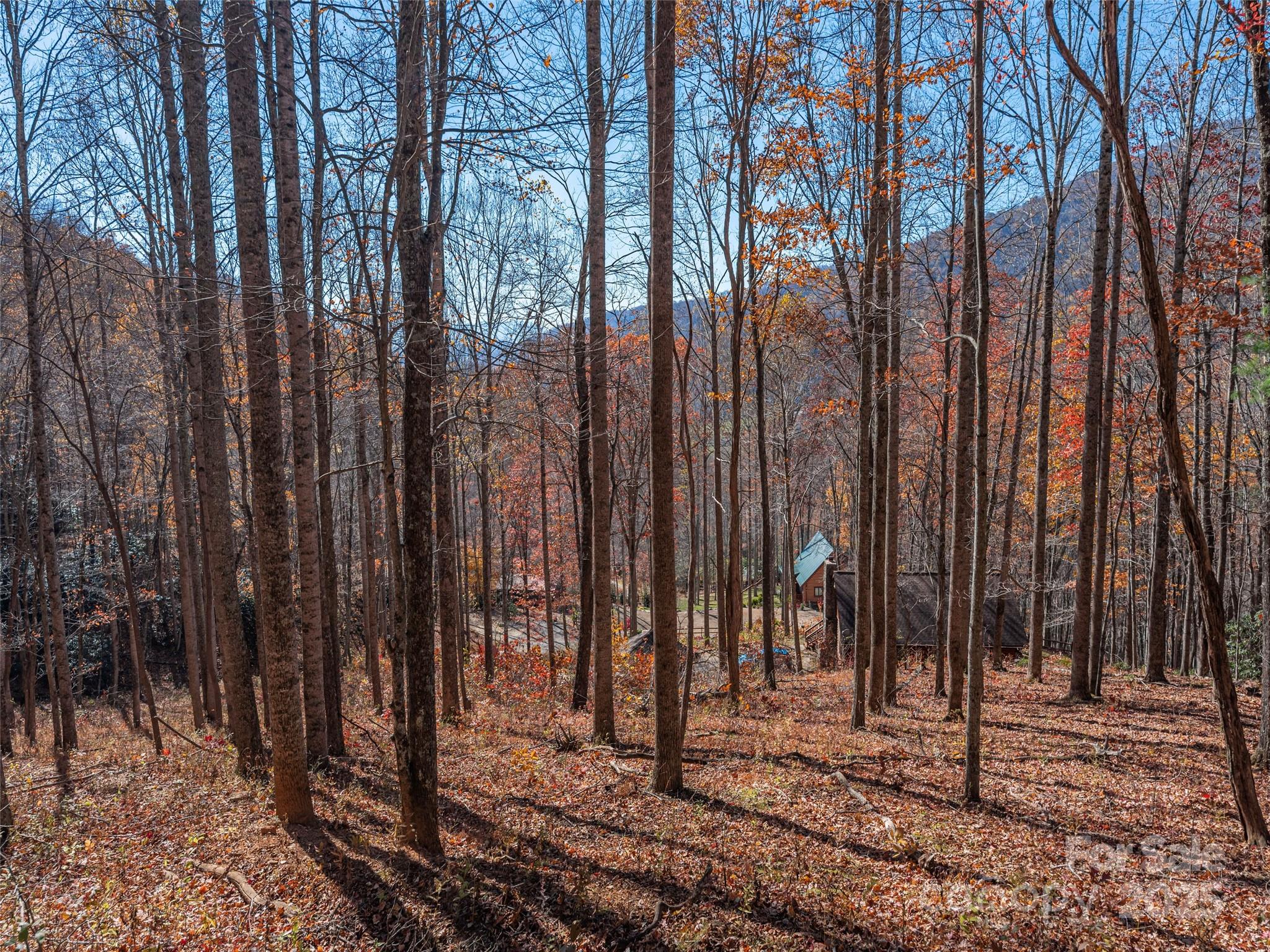 112 & 113 Grouse Road Property Photo 6