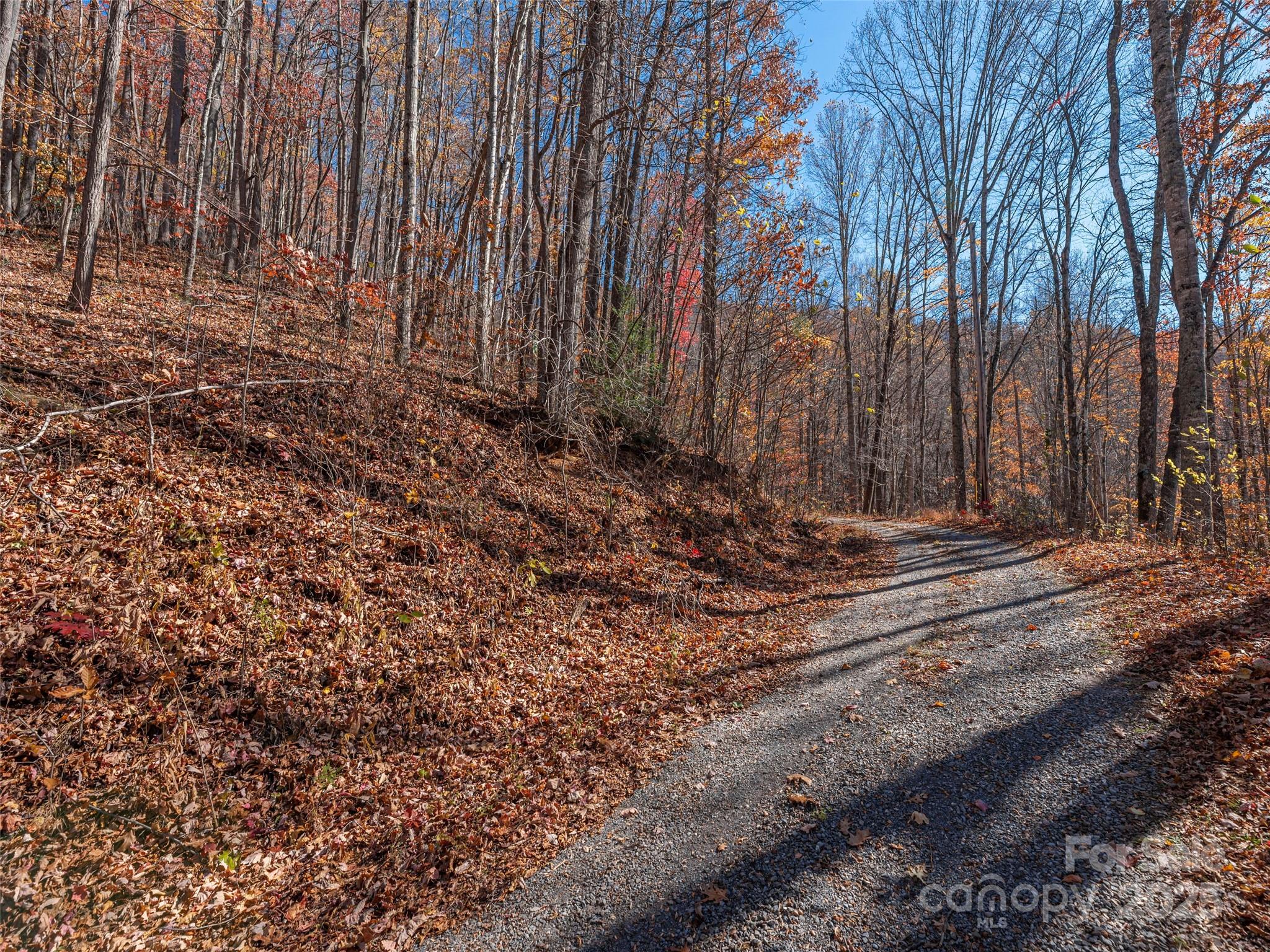 112 & 113 Grouse Road Property Photo 8