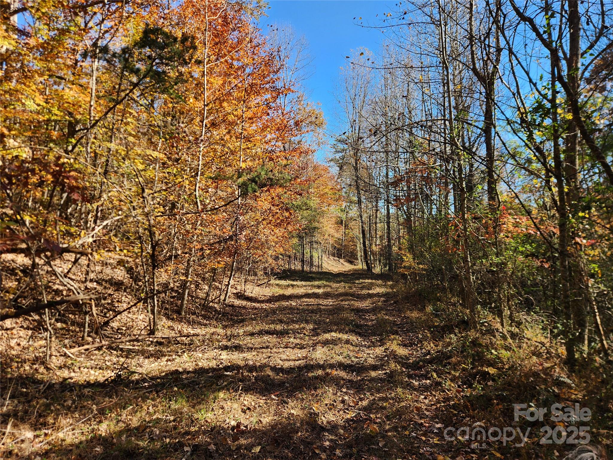 701 Moravian Falls Road Property Photo 6