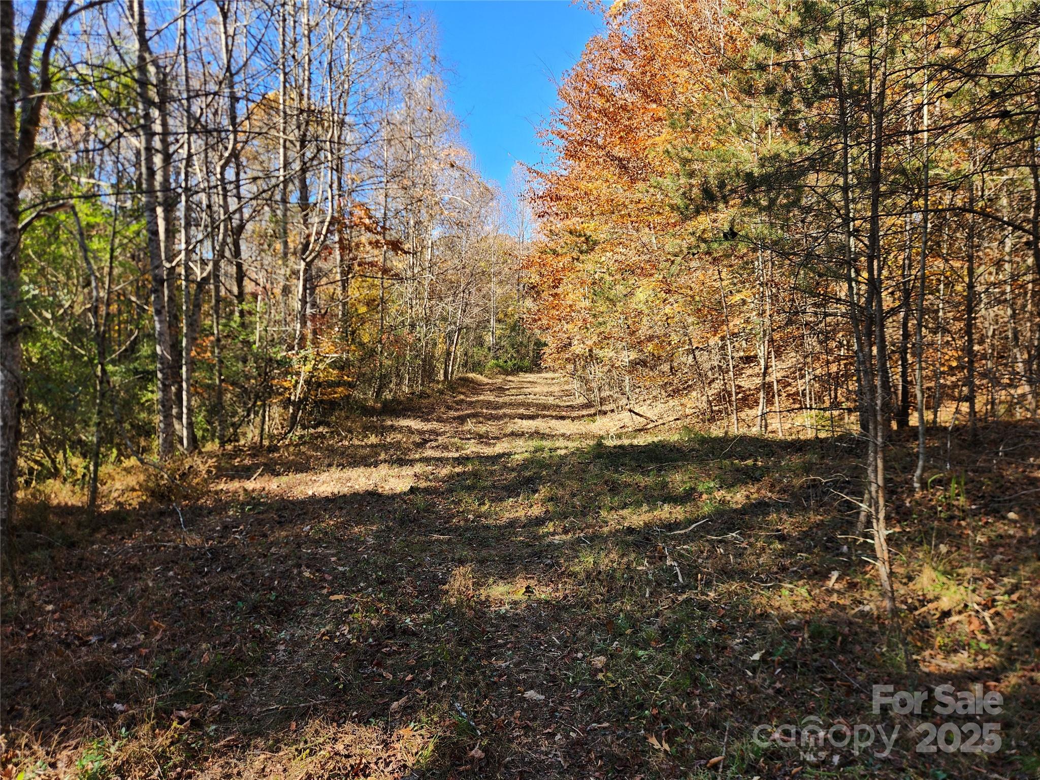 701 Moravian Falls Road Property Photo 9