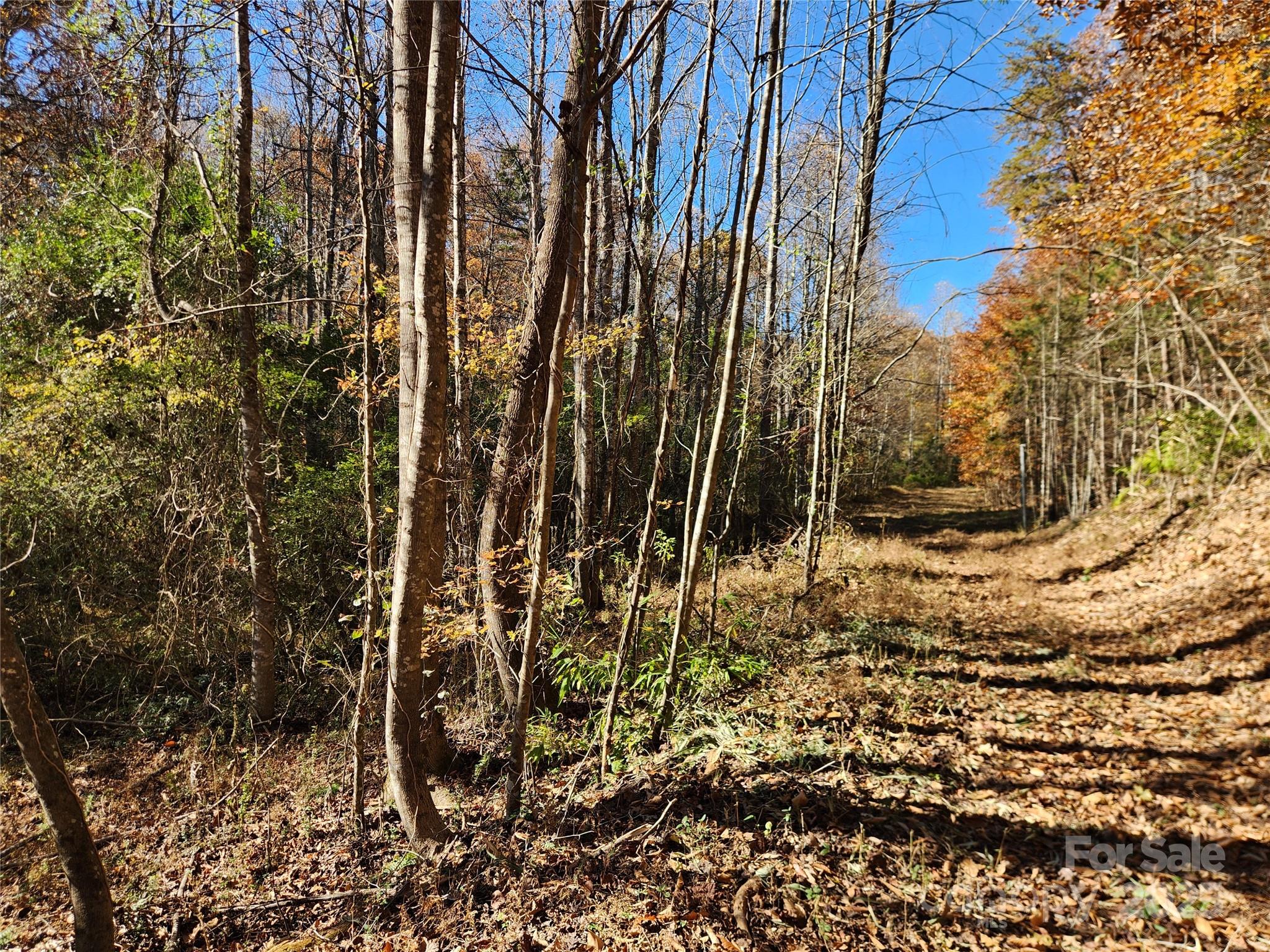 701 Moravian Falls Road Property Photo 10