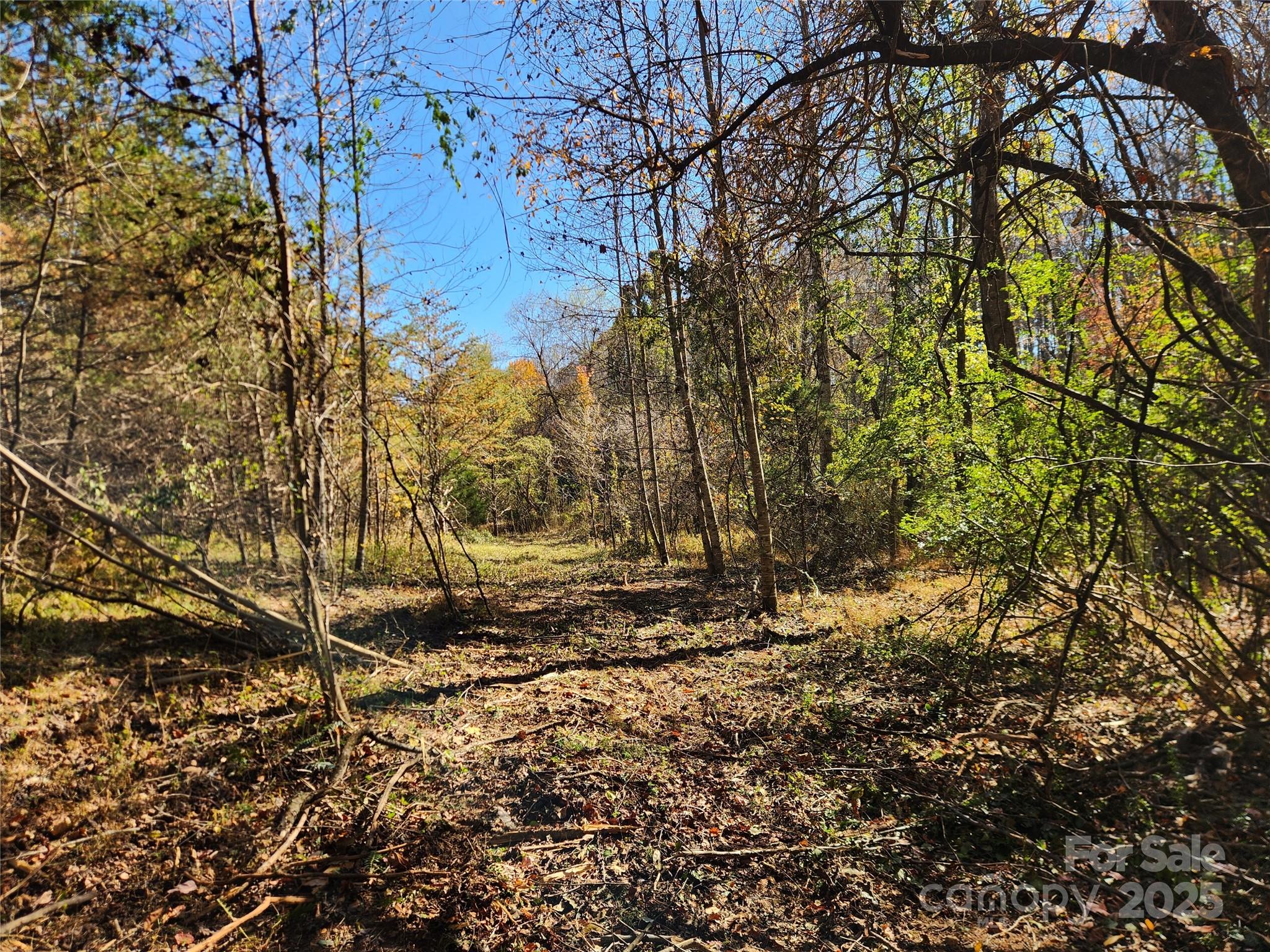 701 Moravian Falls Road Property Photo 11