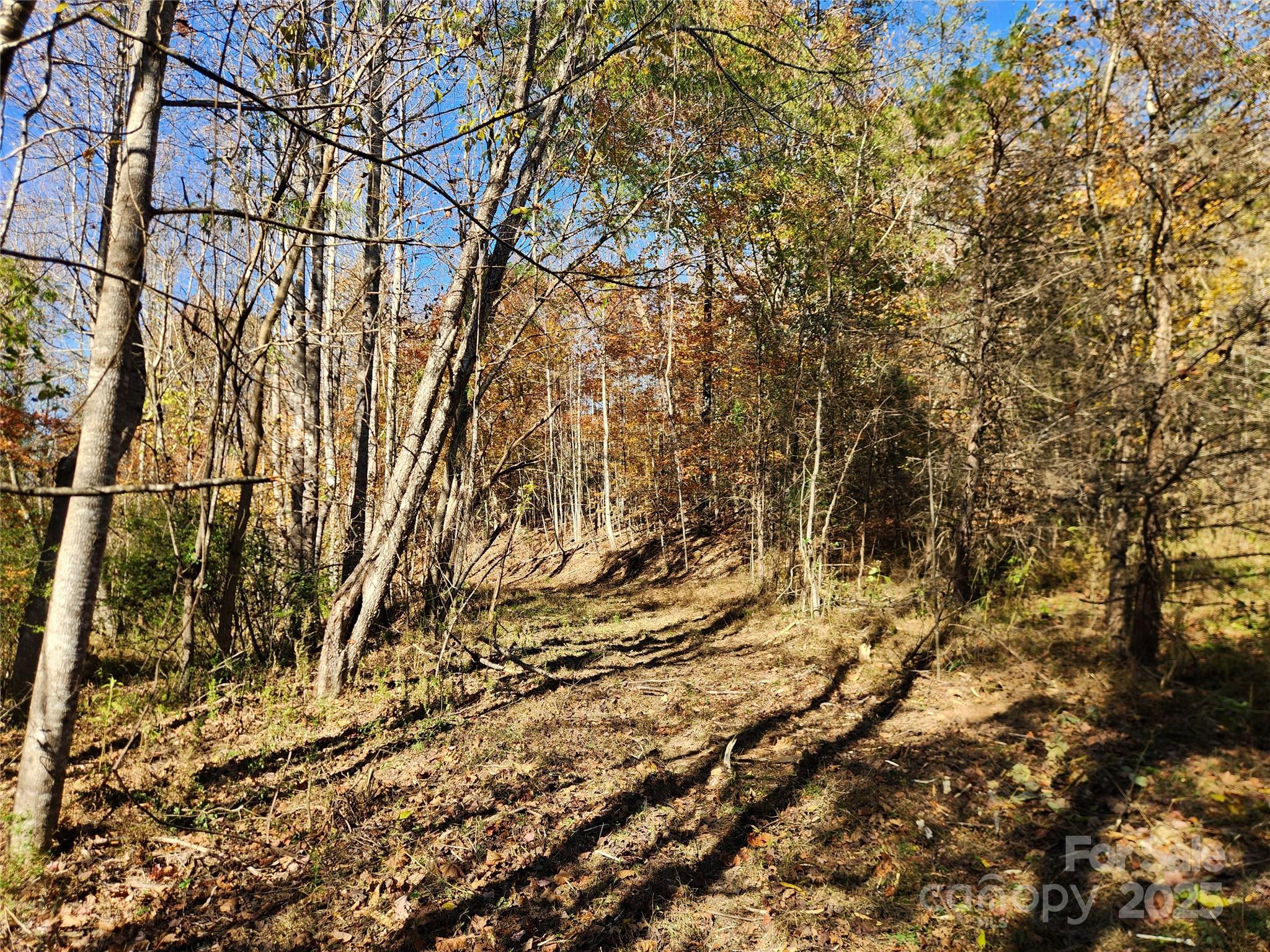 701 Moravian Falls Road Property Photo 13
