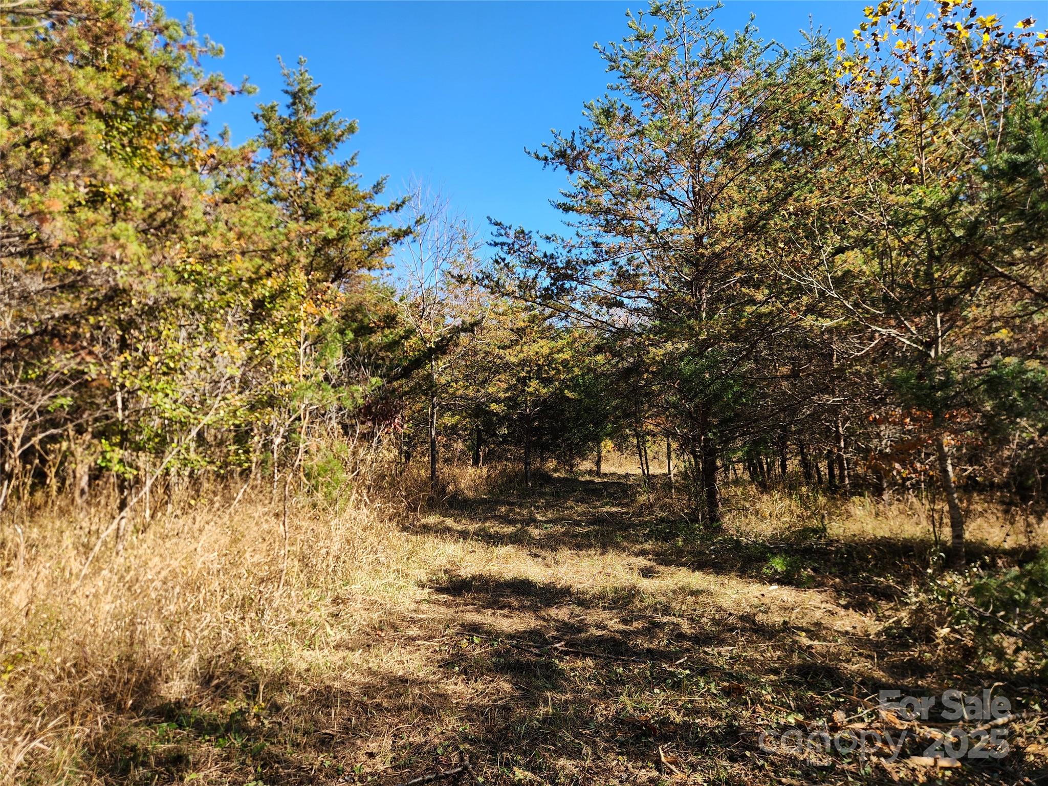 701 Moravian Falls Road Property Photo 14