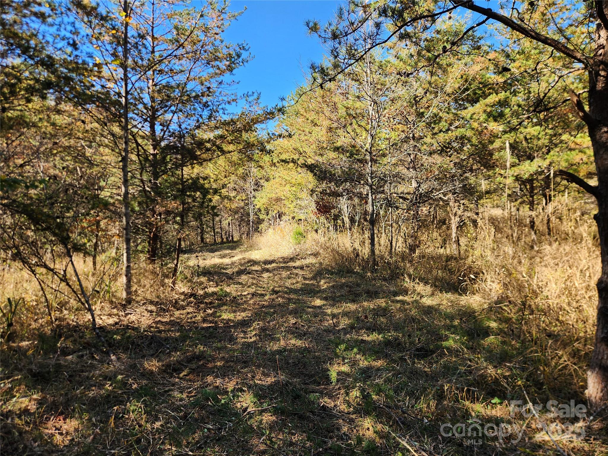 701 Moravian Falls Road Property Photo 15