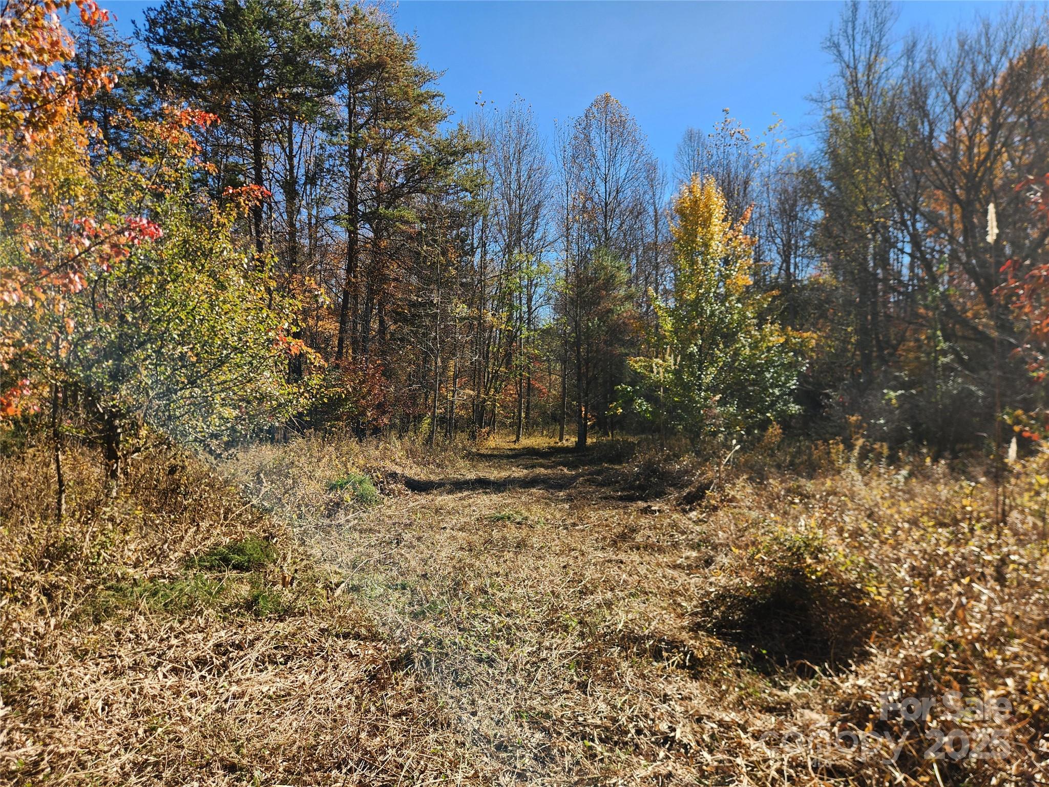701 Moravian Falls Road Property Photo 16