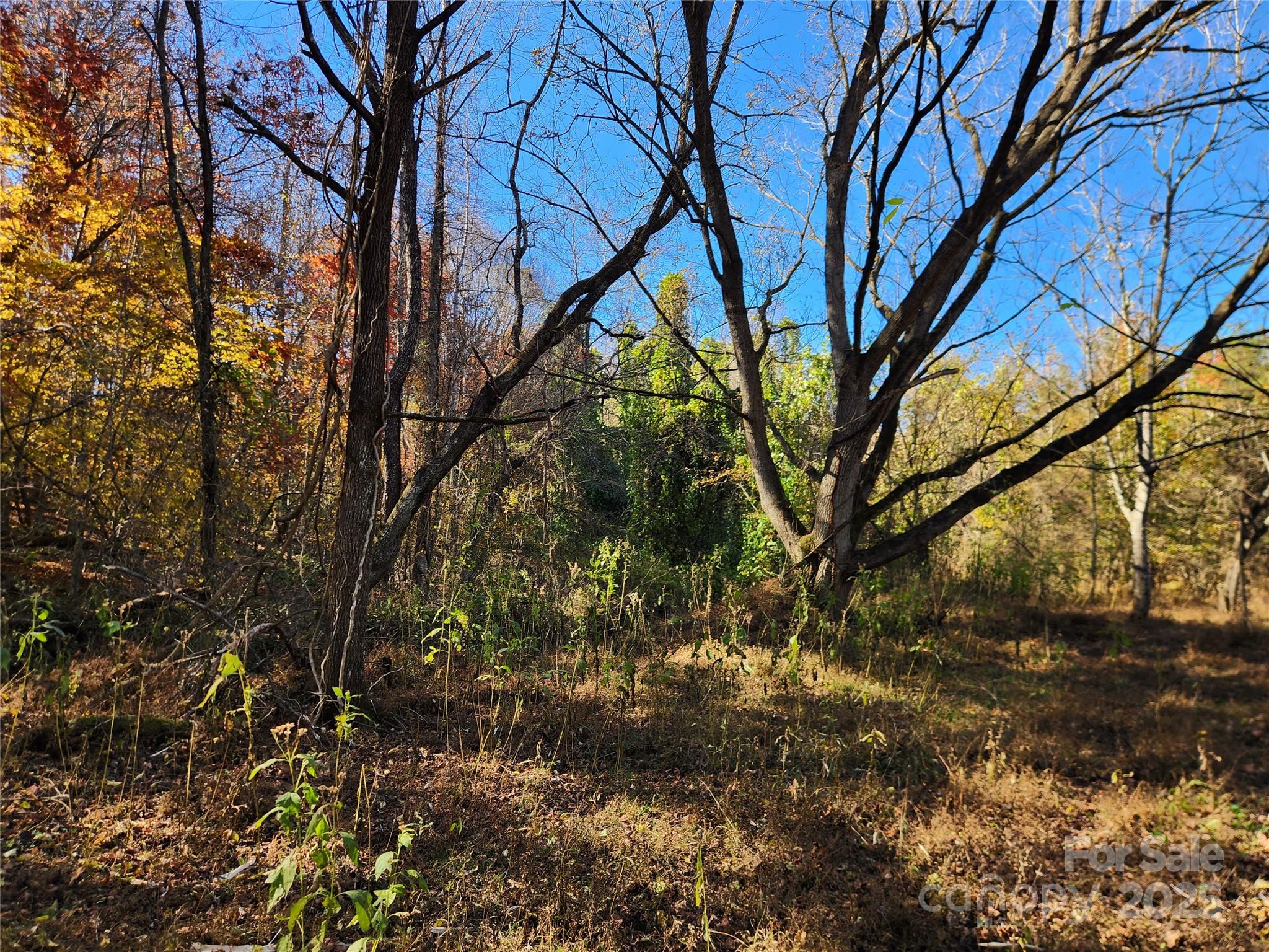 701 Moravian Falls Road Property Photo 17