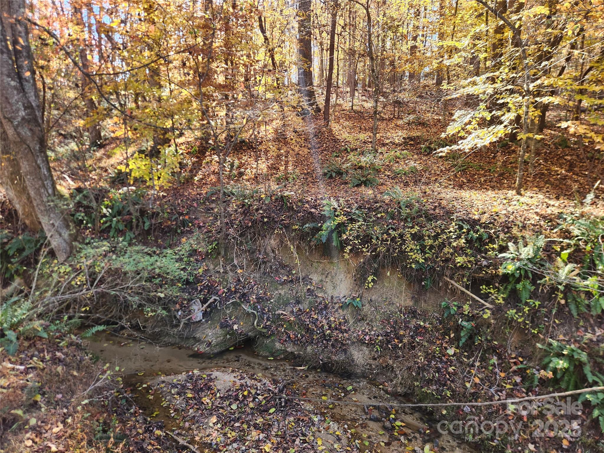 701 Moravian Falls Road Property Photo 18