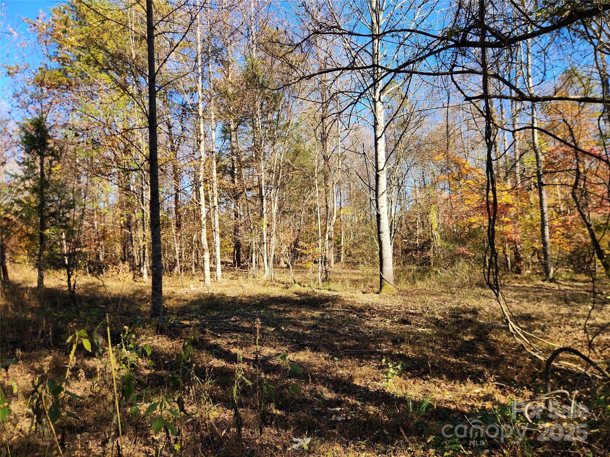 701 Moravian Falls Road Property Photo 19