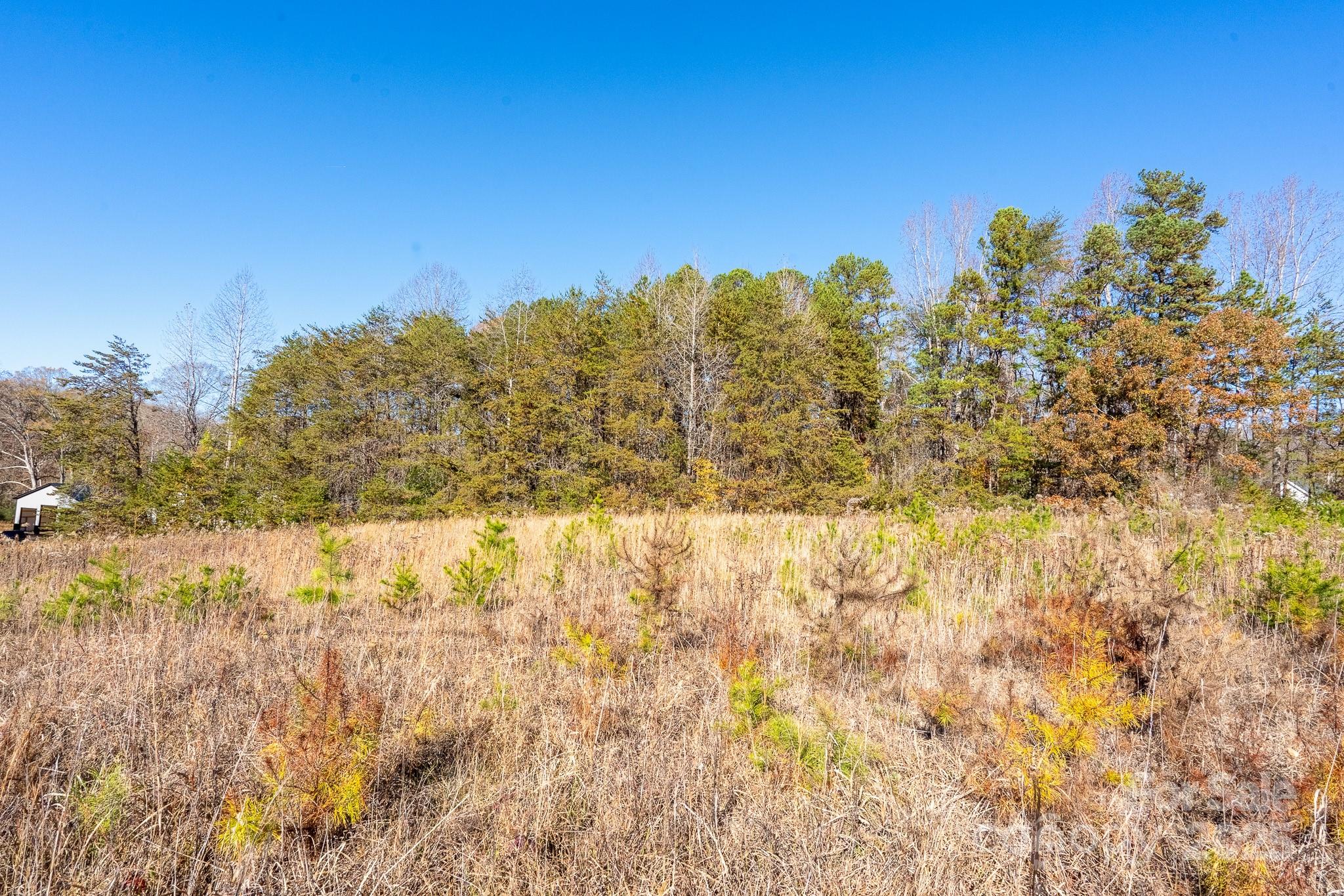 Lot 3 Rocky River Road Property Photo 5