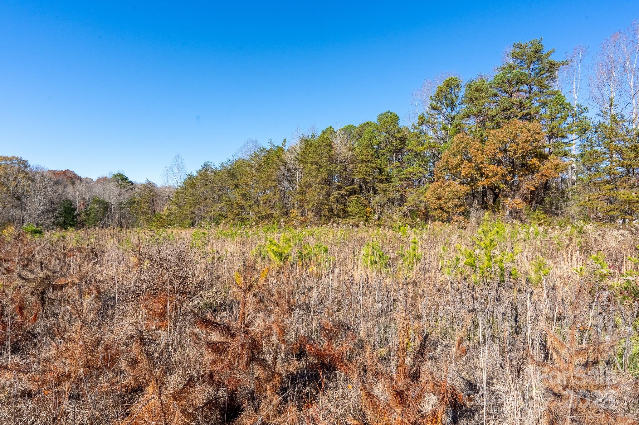 Lot 3 Rocky River Road Property Photo 7