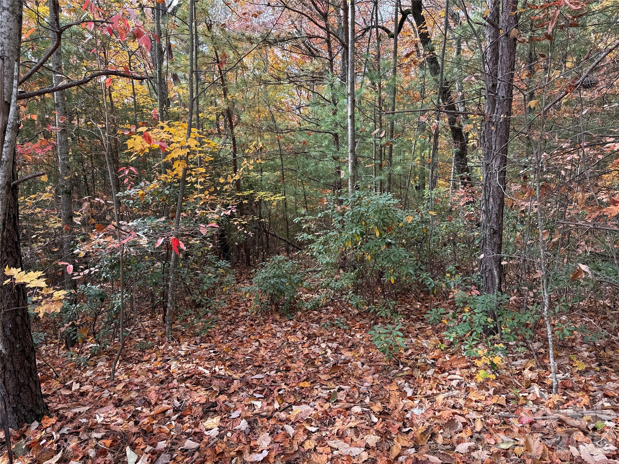 Tbd Casey Mountain Road 209 Property Photo 7