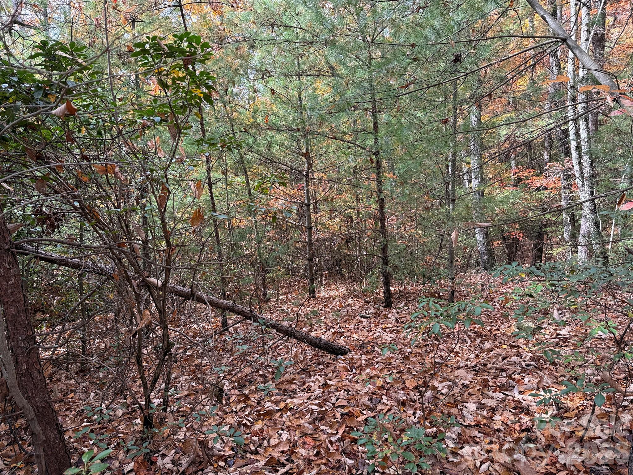 Tbd Casey Mountain Road 209 Property Photo 8