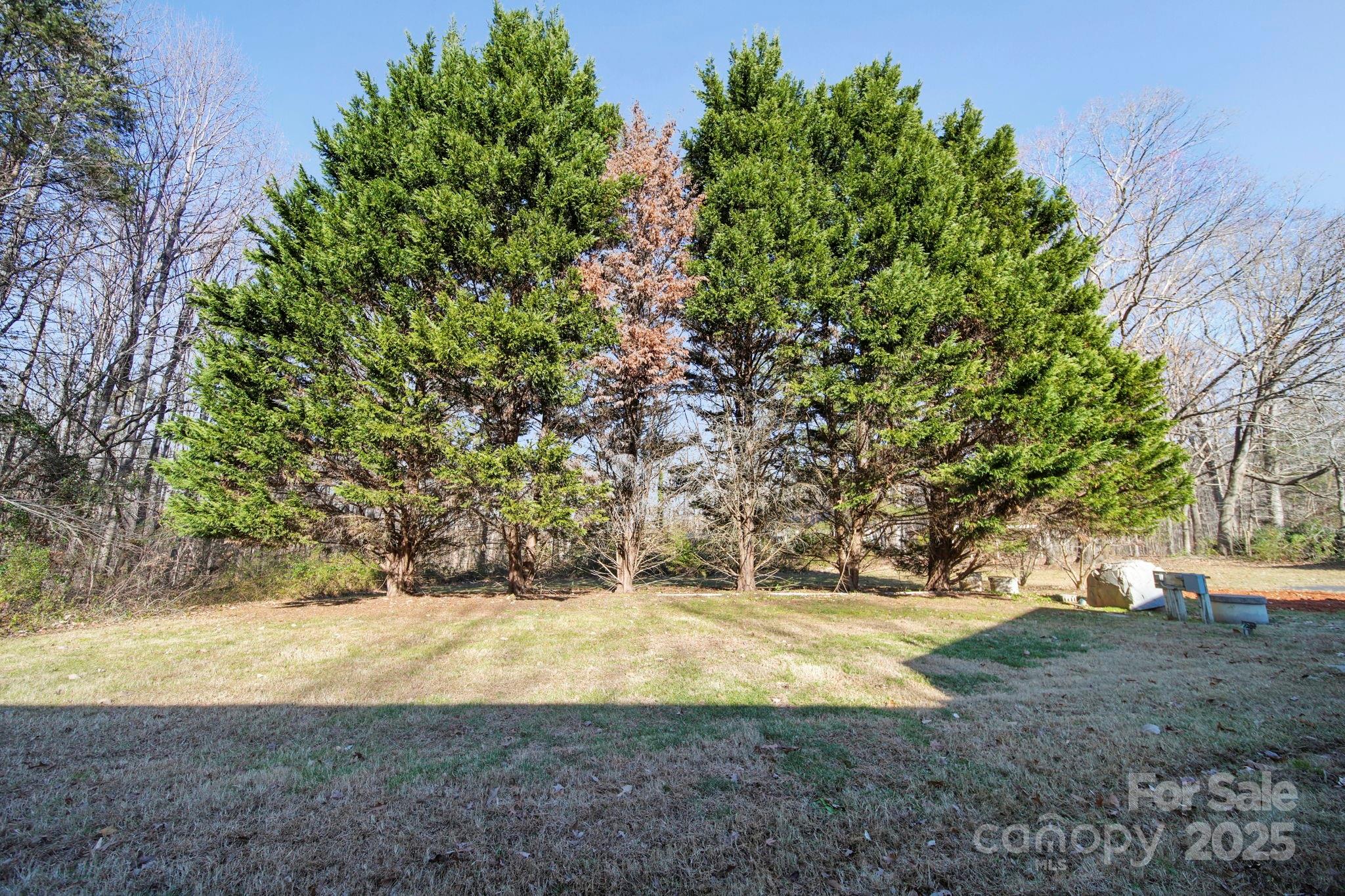 1015 Elizabeth Drive Property Photo 7