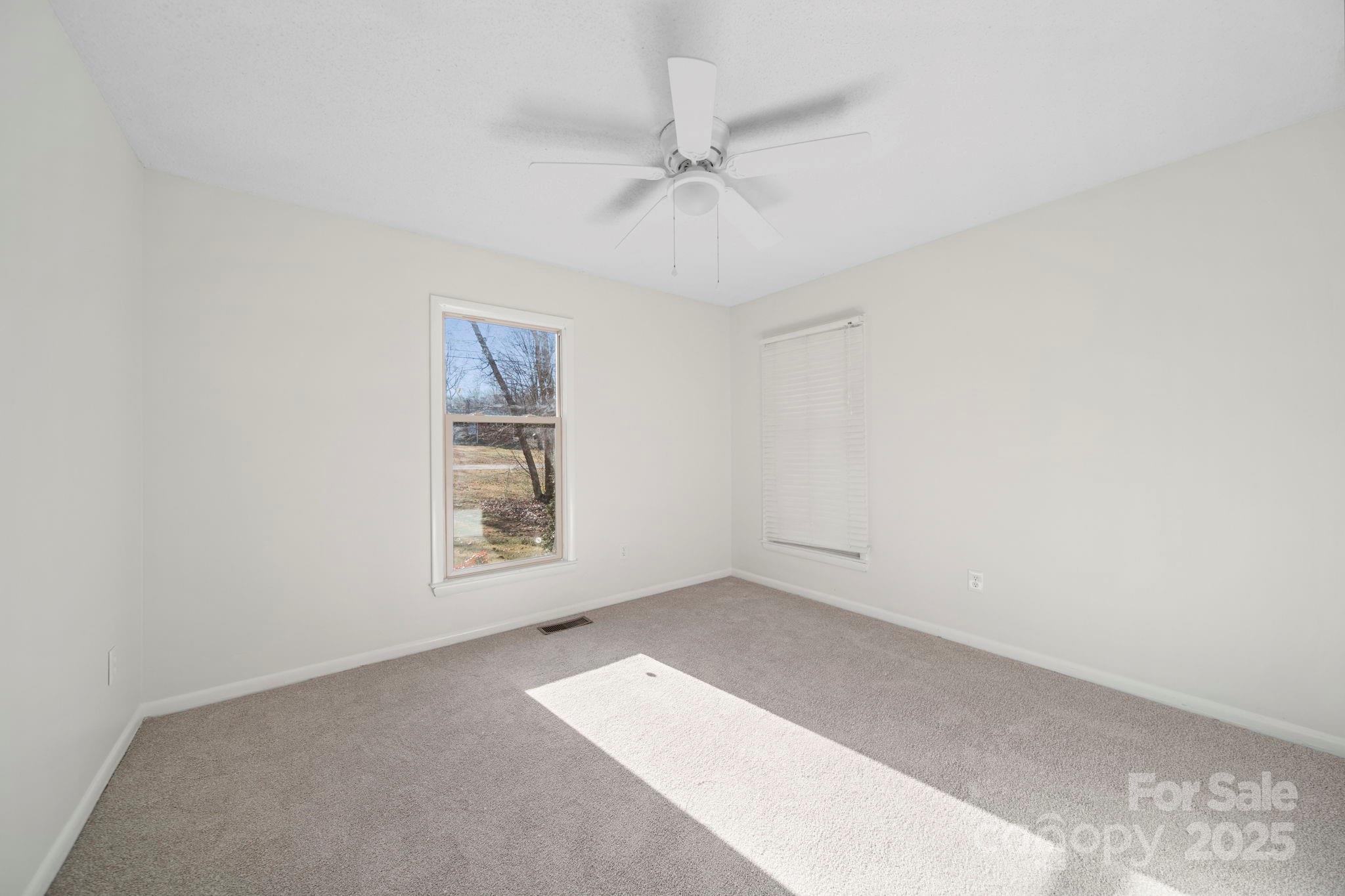 1015 Elizabeth Drive Property Photo 39