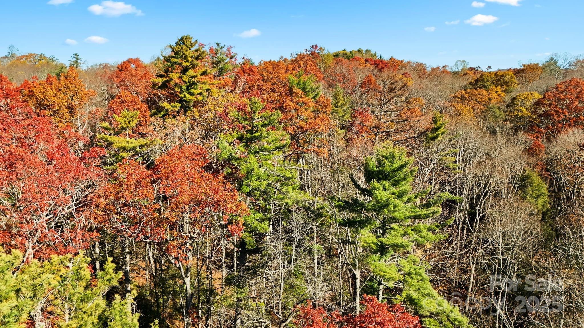 Tbd Midway Road Property Photo 1