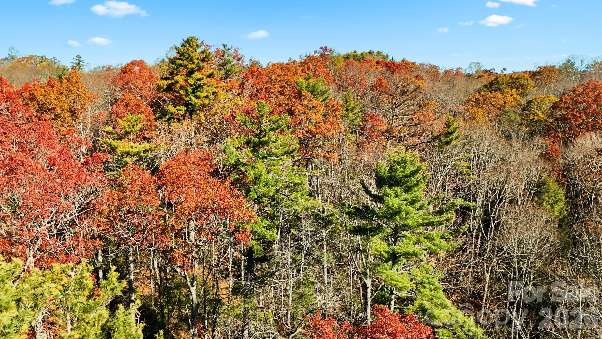 TBD Midway Road
