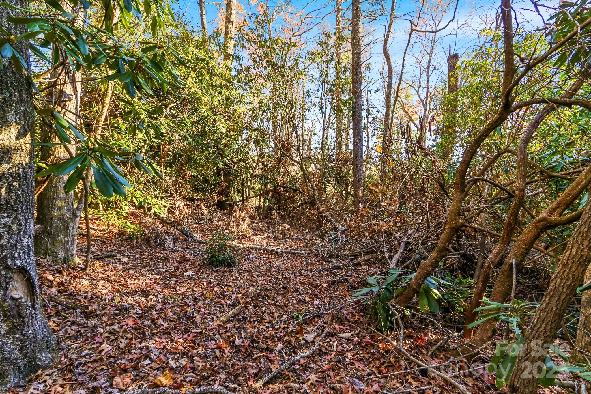 Tbd Midway Road Property Photo 2