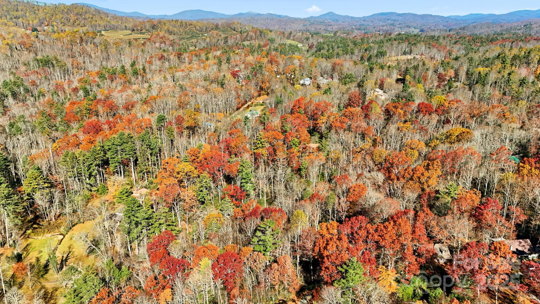 Tbd Midway Road Property Photo 10