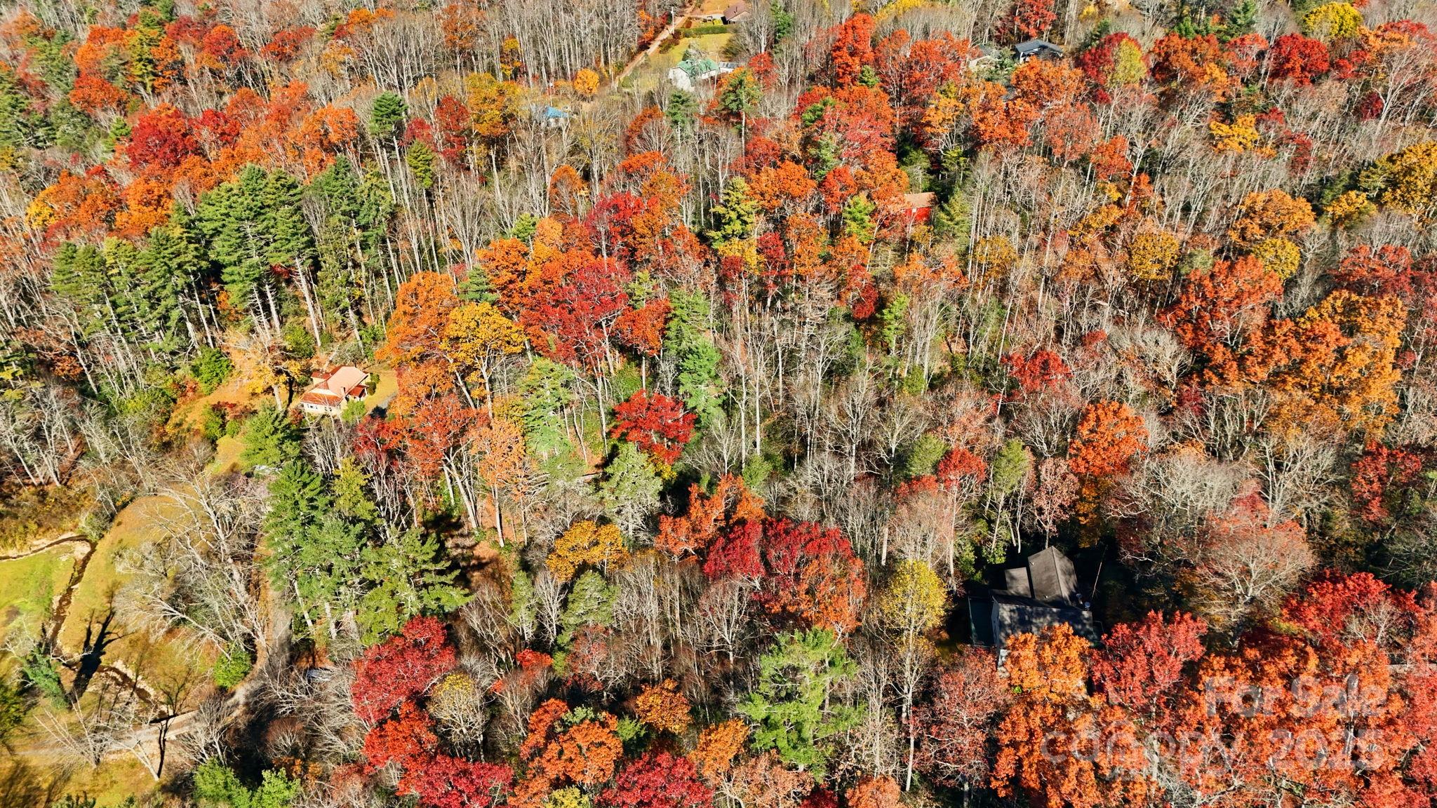 Tbd Midway Road Property Photo 11