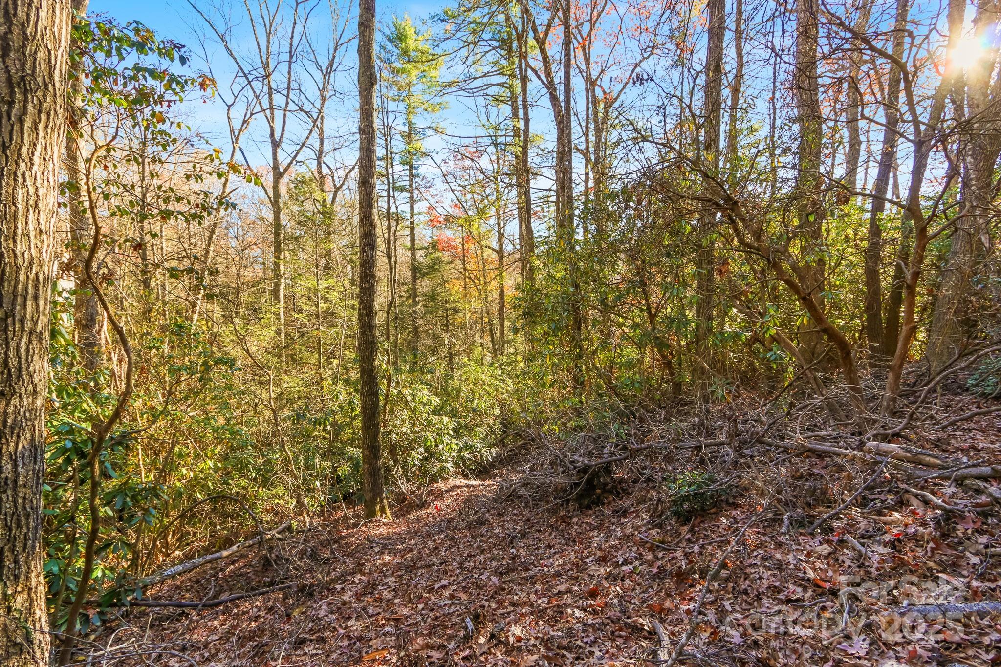 Tbd Midway Road Property Photo 17