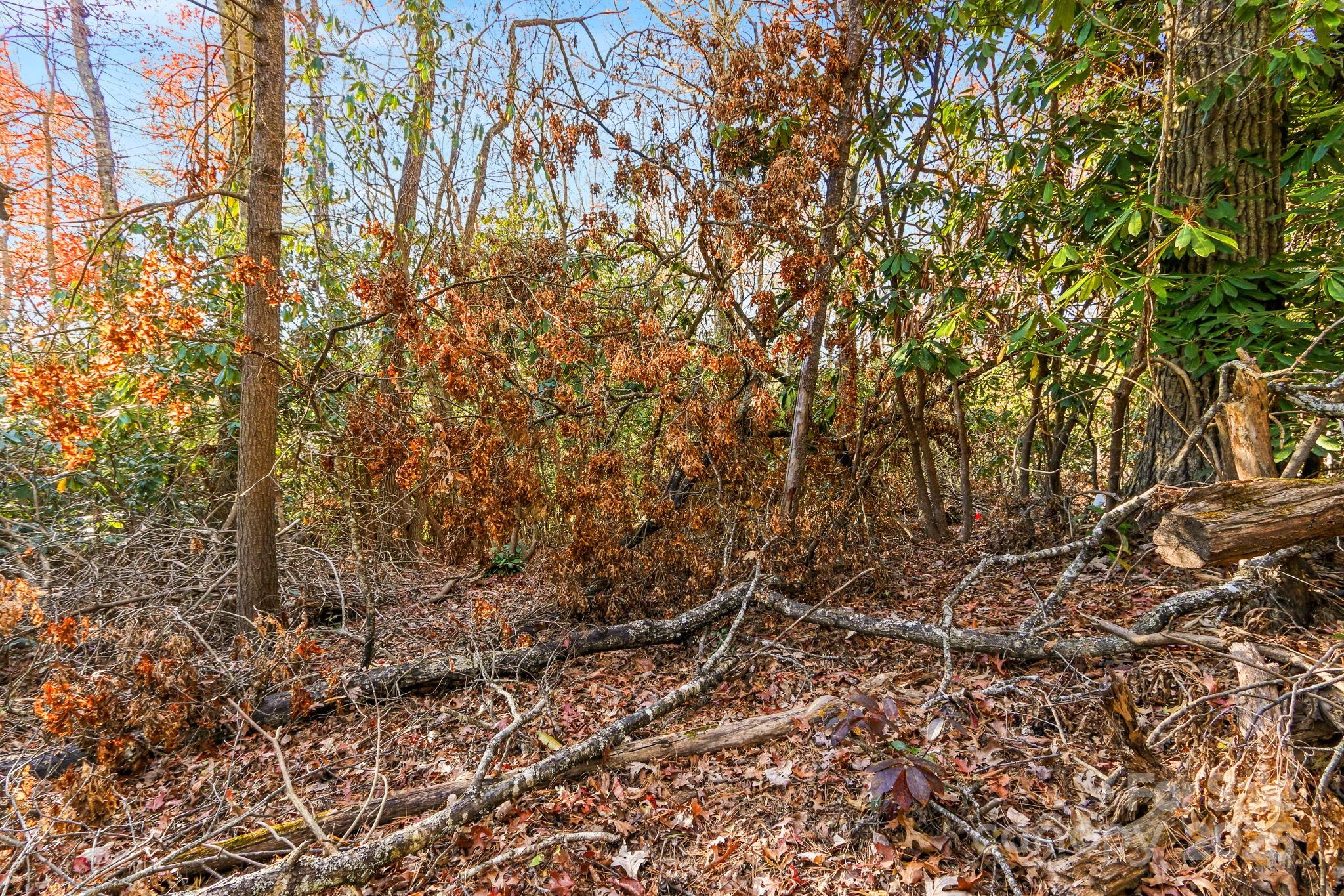 Tbd Midway Road Property Photo 18