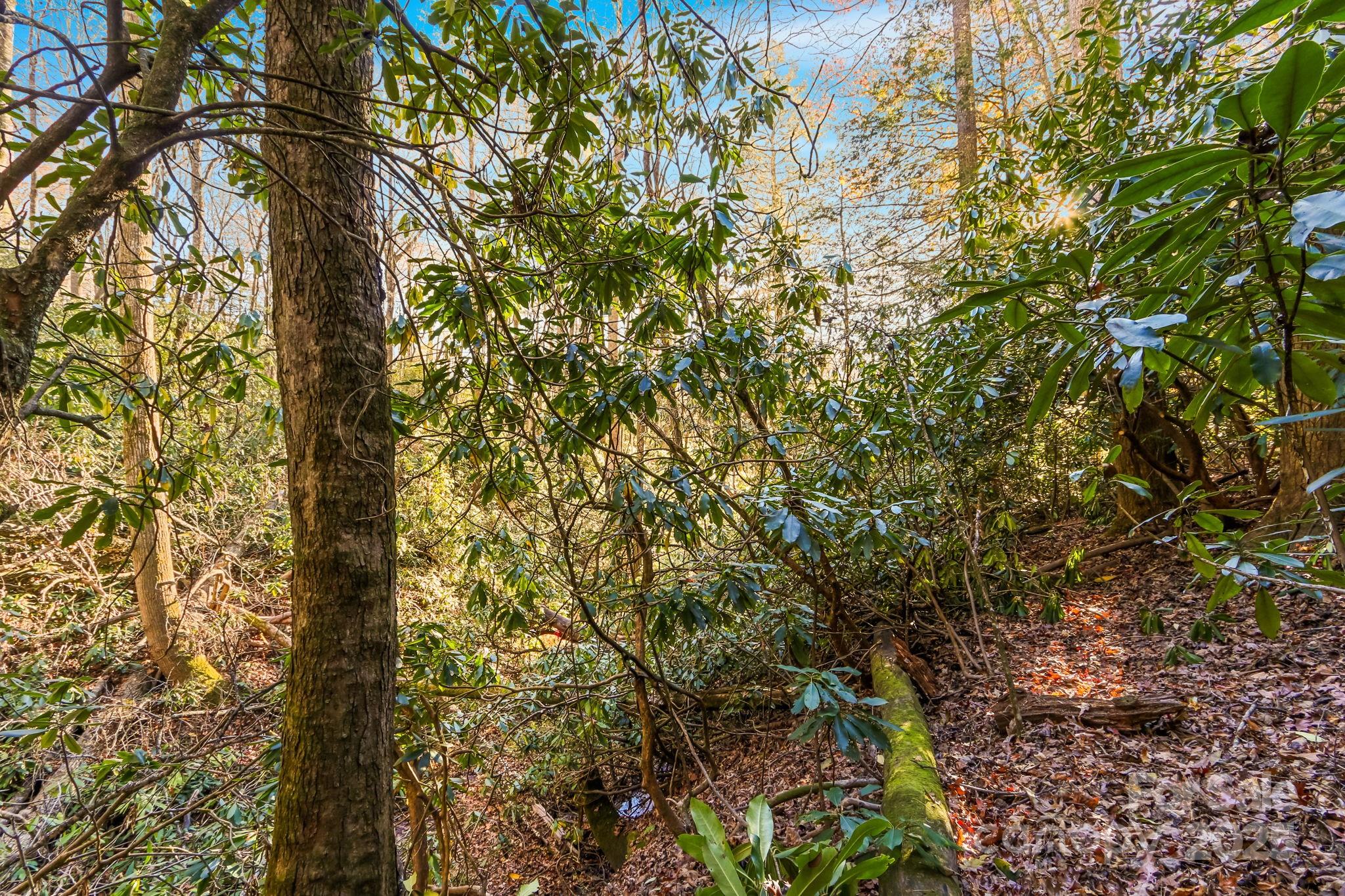 Tbd Midway Road Property Photo 19