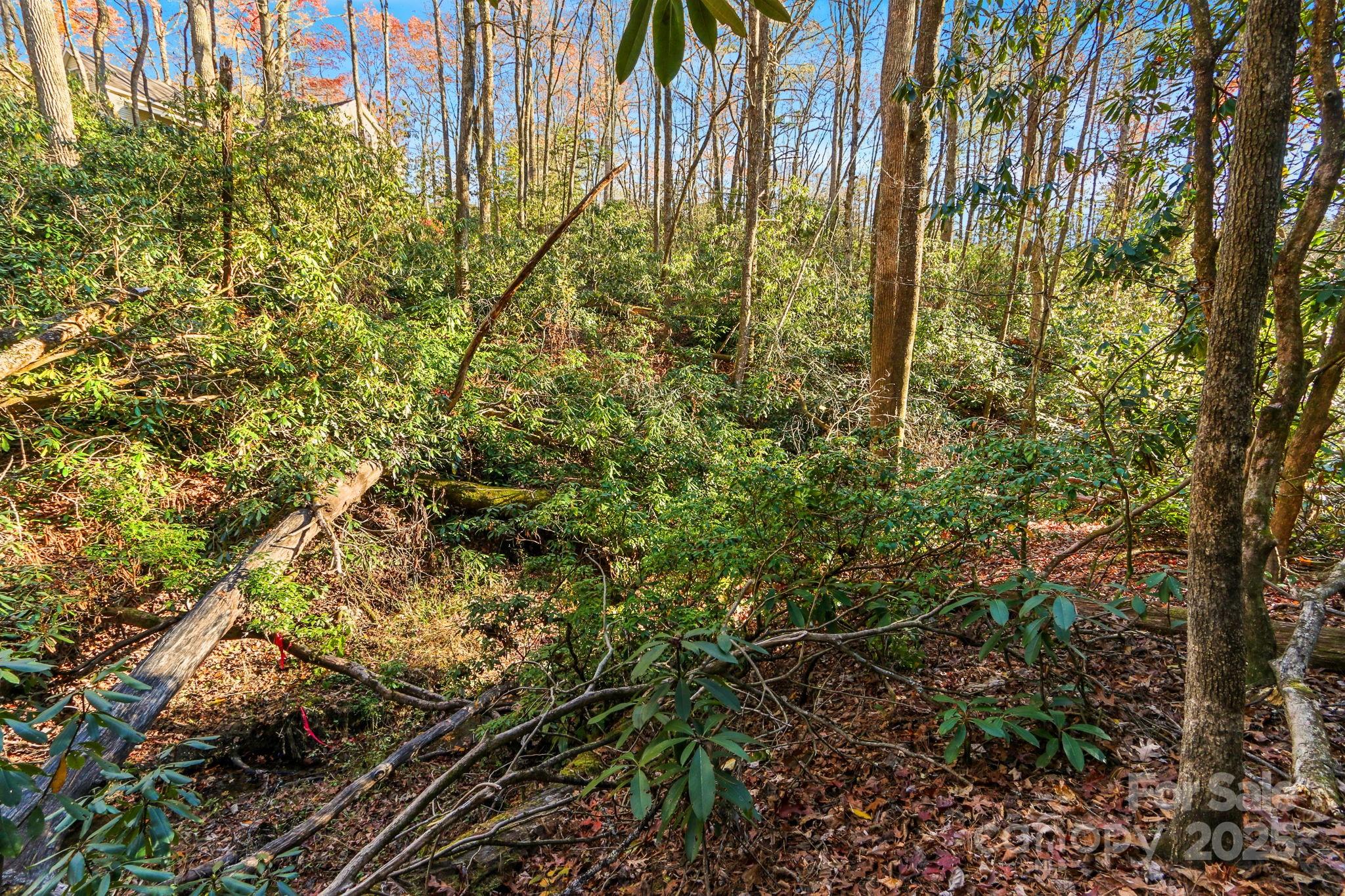 Tbd Midway Road Property Photo 20