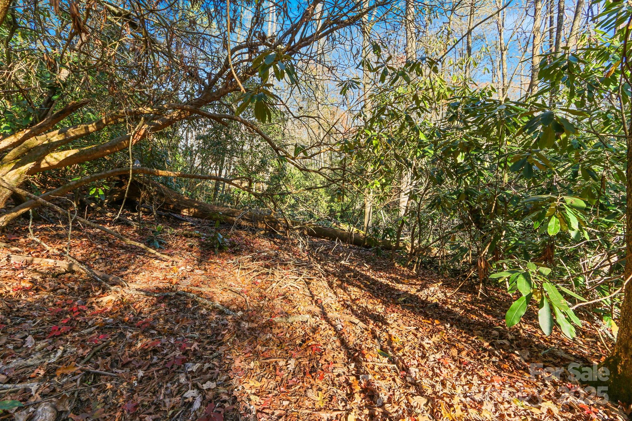 Tbd Midway Road Property Photo 21