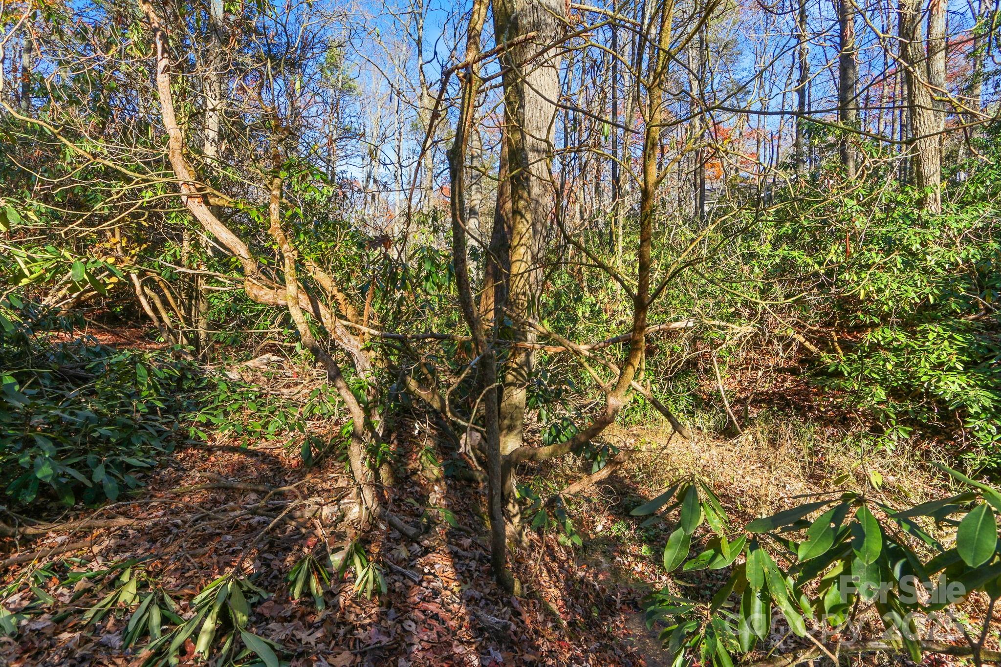 Tbd Midway Road Property Photo 22