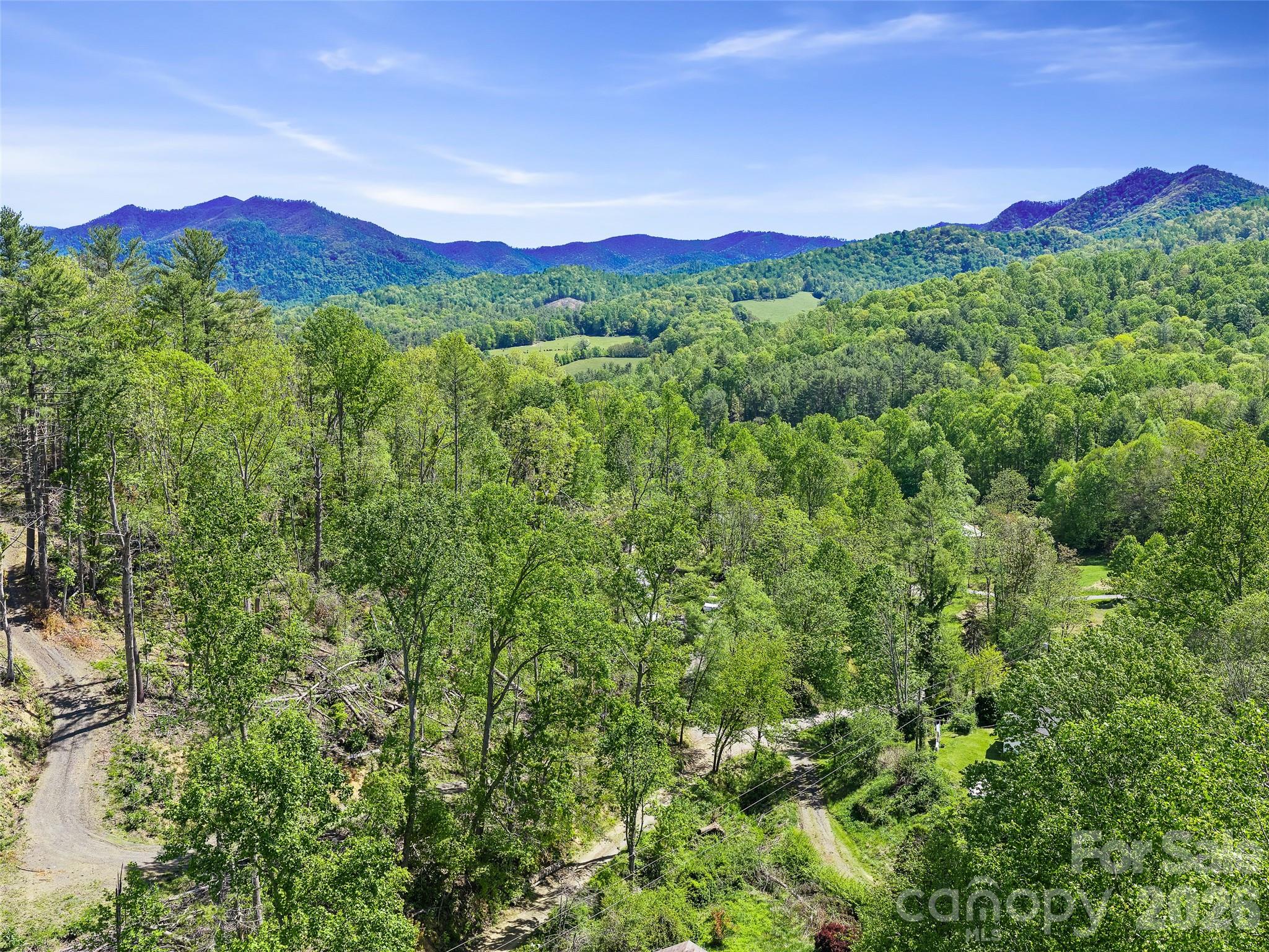 615 Fred Sparks Road Property Photo 3