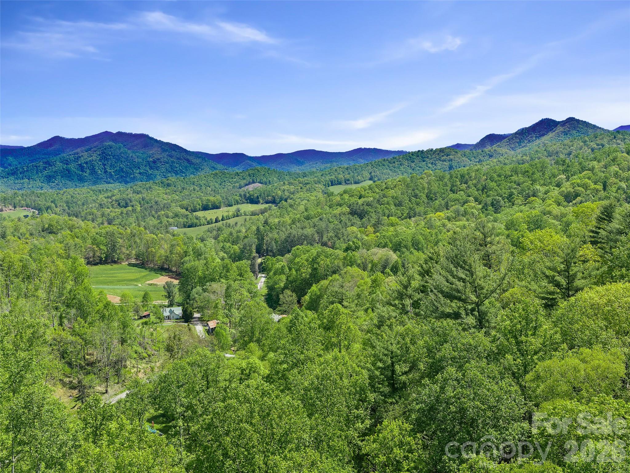 615 Fred Sparks Road Property Photo 5