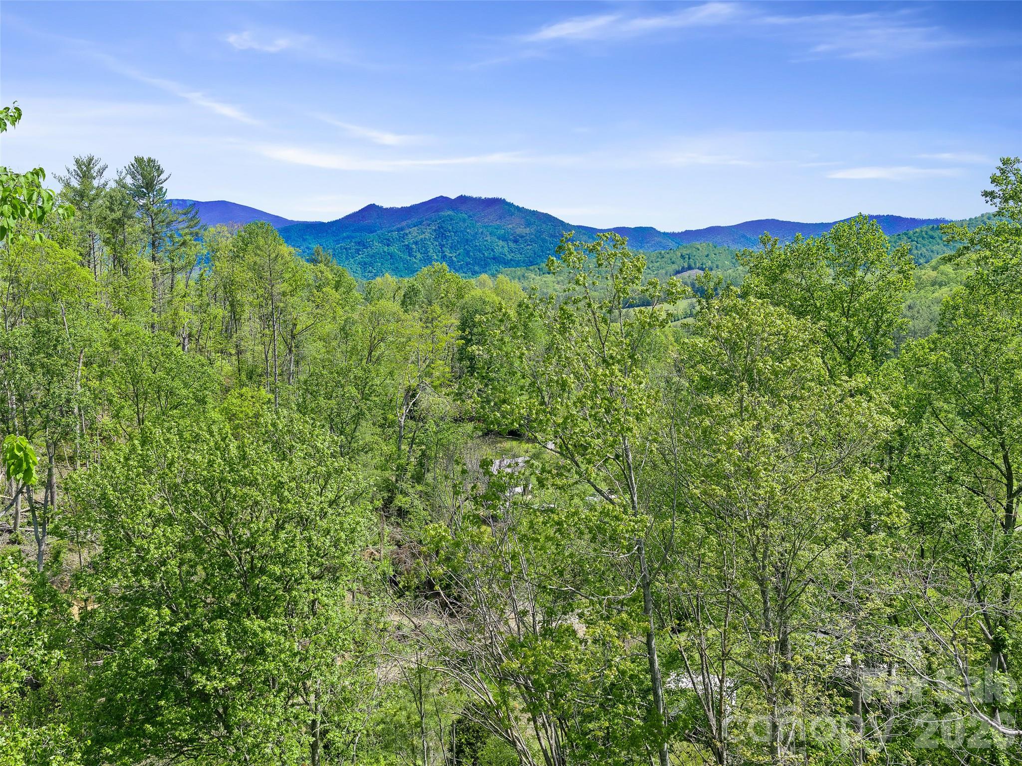 615 Fred Sparks Road Property Photo 11