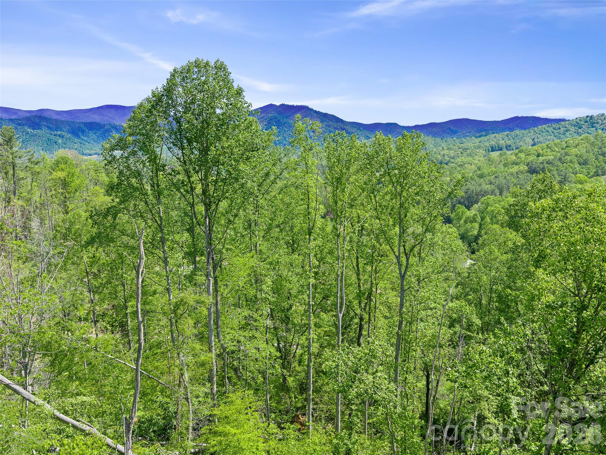 615 Fred Sparks Road Property Photo 12