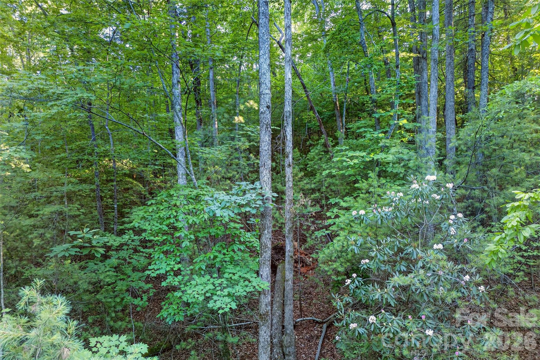 00 Yancey Road Property Photo 21